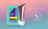 Агентство из Воронежа признано лучшим в мире по версии CSS Design Awards