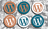 REG.RU представил готовые решения для создания сайтов на WordPress