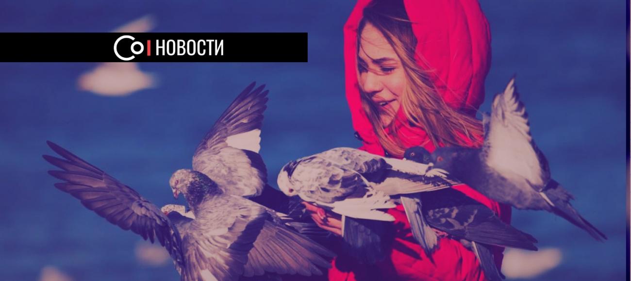 Dnative: средний портрет SMM-менеджера в России