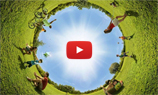 YouTube запустил видеотрансляции 360° с пространственным звуком