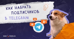 Как привлечь подписчиков в Telegram. Полное руководство